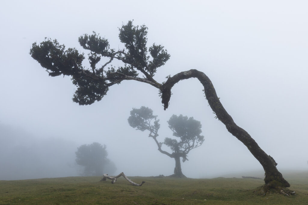travel photography in Madeira