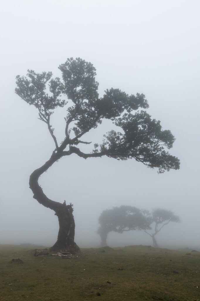landscape photography in Madeira