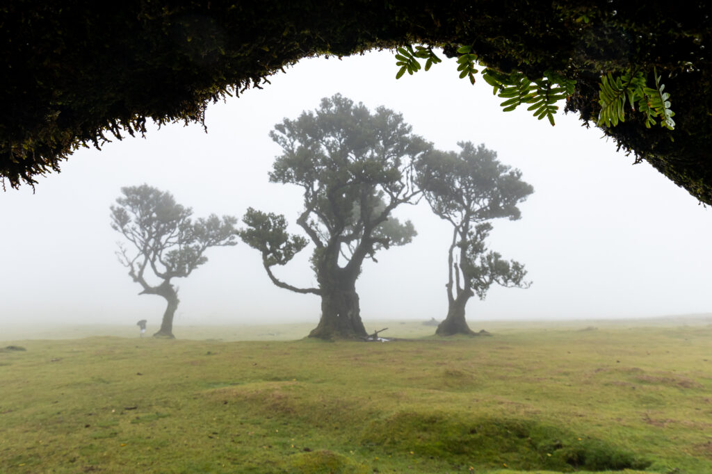 landscape photography in Madeira